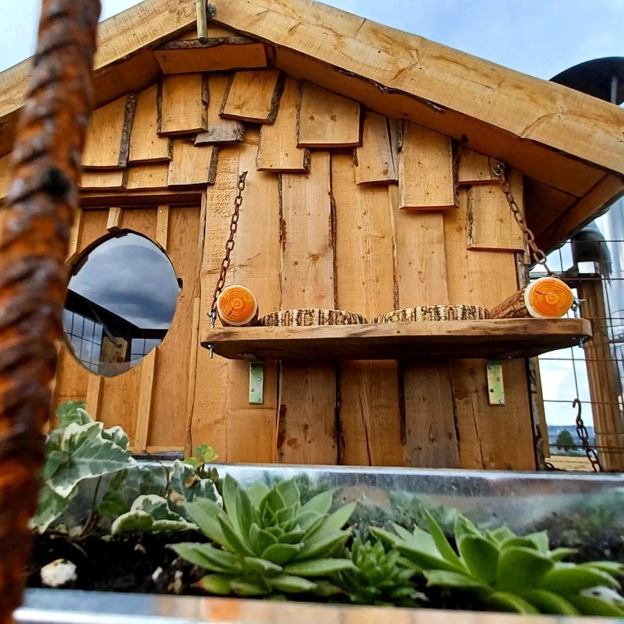 La Cabane Du Coing Visé Екстериор снимка